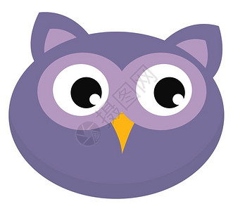 紫色猫头鹰图片