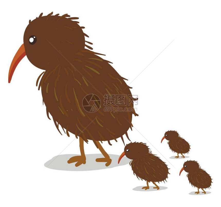 一只小鸟有3鸡矢量彩色画或插图图片