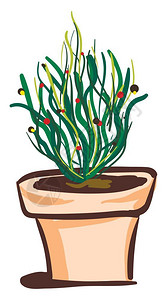 锅矢量彩色绘画或插图中的绿叶色植物图片