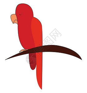 坐在树枝矢量彩色图画或插上的红色鹦鹉背景图片