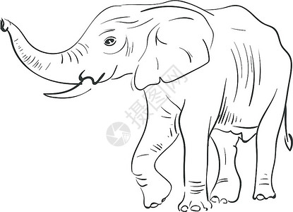 卡通手绘大象矢量设计插图图片