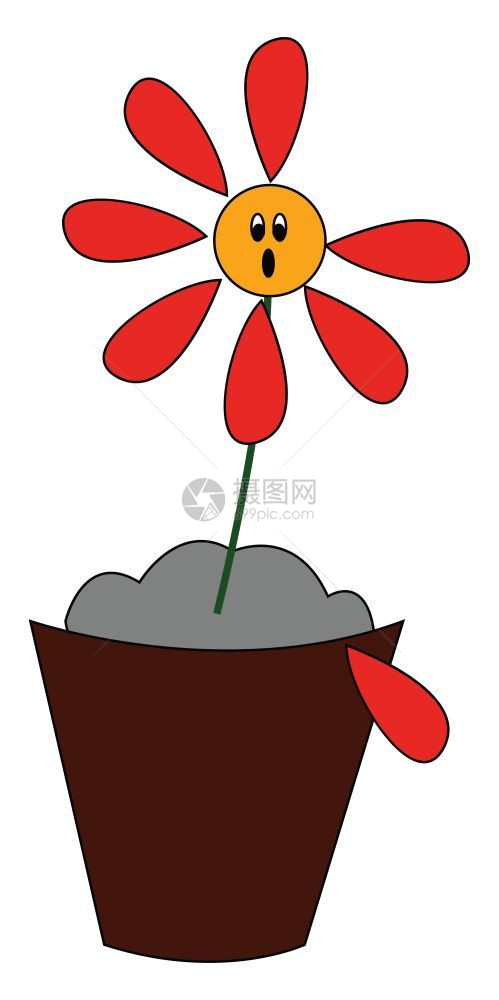 花盆里的红色花朵图片