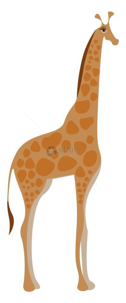 长颈鹿矢量图的绘图片