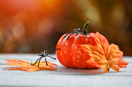 蜘蛛并离开秋天的南瓜圣殿装饰图片