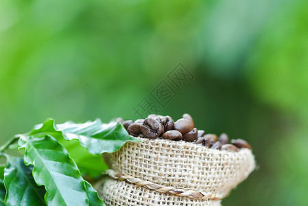 袋子中的豆包装烤咖啡木制桌上的绿叶和自然色背景图片