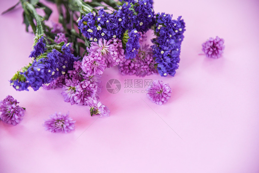 紫色柔软粉红背景的紫色彩造型厂美丽带有复制空间的平面顶端视图图片