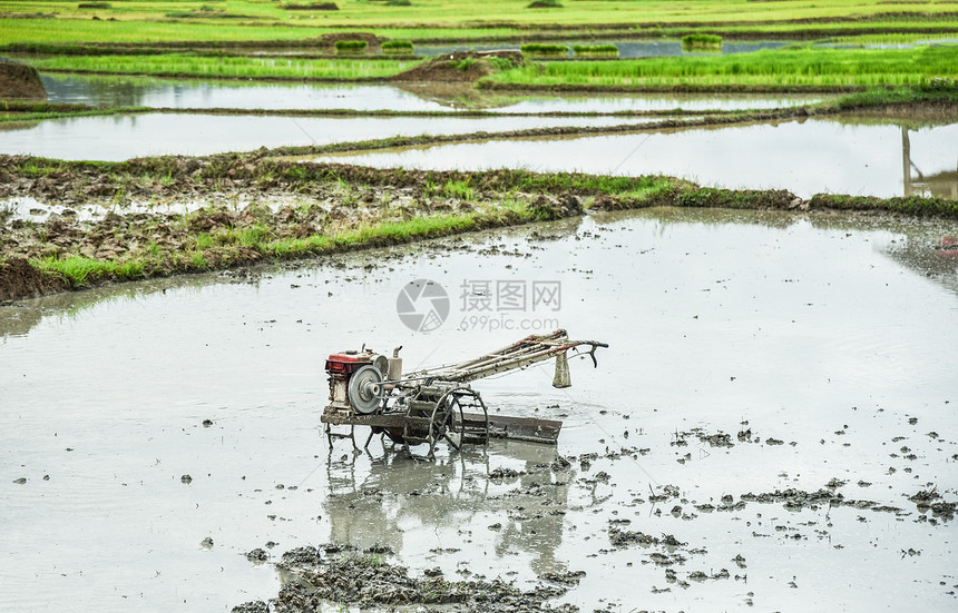 种植稻田的步行拖拉机以便耕种农田准备在雨季种植农田稻图片