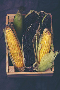 以有机玉米换取食物图片