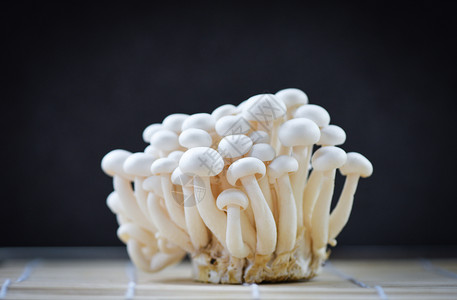黑底蘑菇食用或黑底的白蘑菇图片