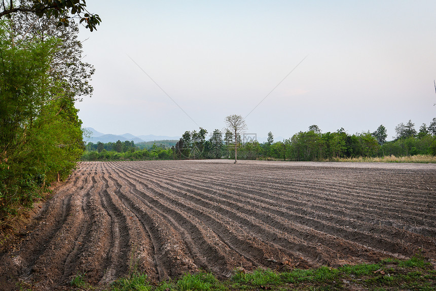 农业犁耕为开始种植木薯田地准备土壤图片