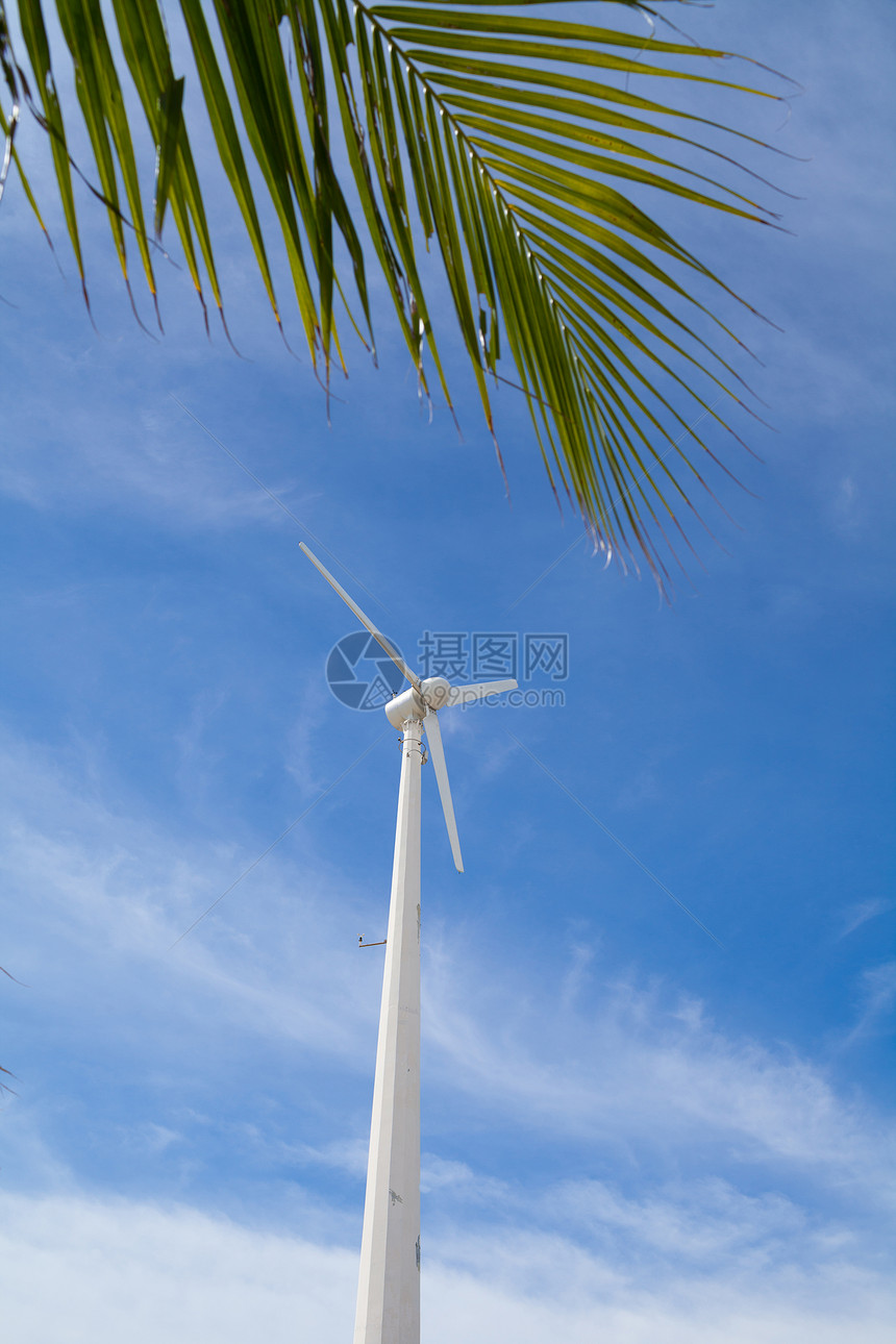 绿色能源海滩附近的风车图片