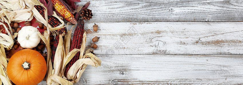 万圣节或感恩秋季假期概念玉米果南瓜以及白木背景的玉米瓜南图片