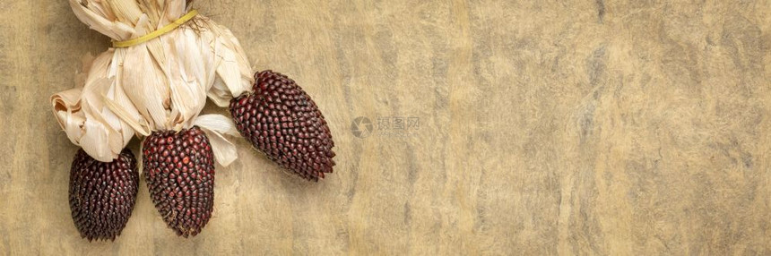 带有复制空间秋节或收获概念长横幅格式的手工纸质树皮的装饰草莓玉米耳朵图片