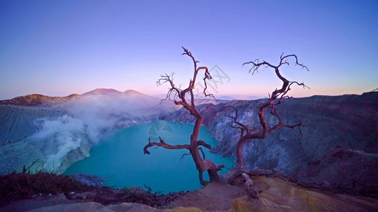 日出时在KawahIjen火山和绿松石硫湖的木无叶树上印度尼西亚东爪哇全景自然观背背景图片