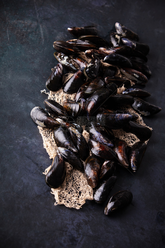 新鲜的未熟生大贝壳准备在黑暗背景下烹饪图片