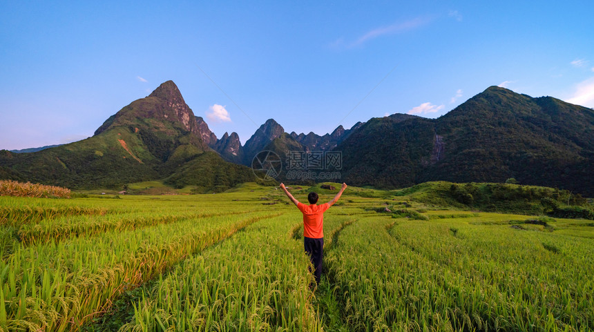 一名亚洲旅游男子在越南萨帕Sapa的旅游行和假期概念中夏季在Fansipan山上与稻田谷一起观望图片