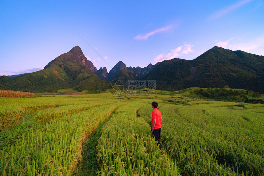 一名亚洲旅游男子在越南萨帕Sapa的旅游行和假期概念中夏季在Fansipan山上与稻田谷一起观望图片