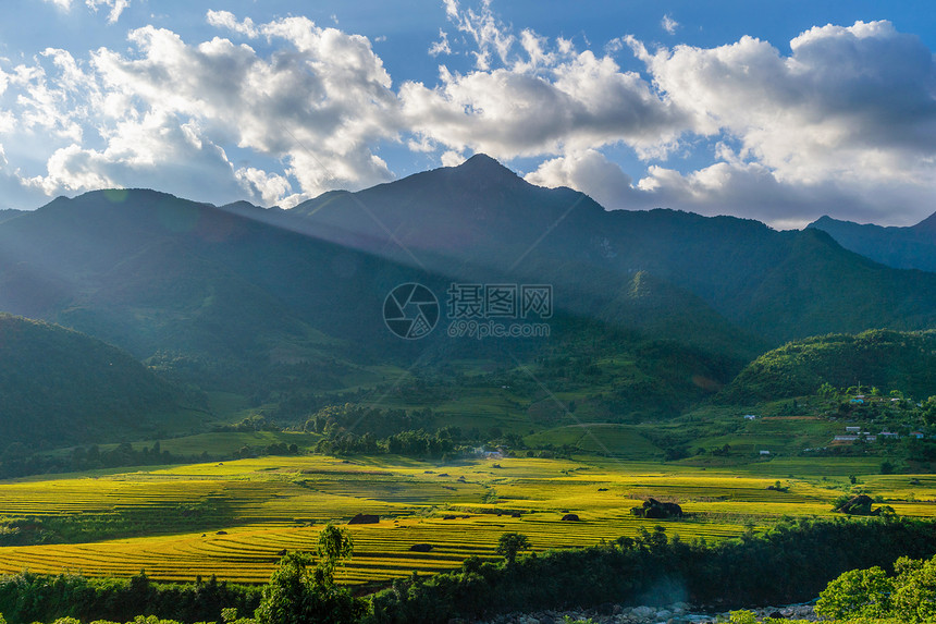 夏季的芬西潘山谷有稻田梯农村或地区绿色田旅行和假期概念越南萨帕自然景观图片