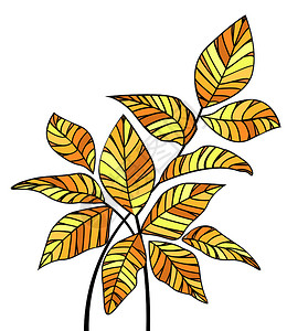 树叶装饰矢量元素图片