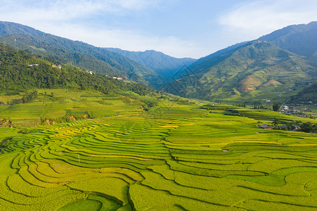 越南日元白稻田梯MuCangChaiYenBai农村或地区绿色业田亚洲和越南日落时山峰谷的空中最高景象自然观背背景