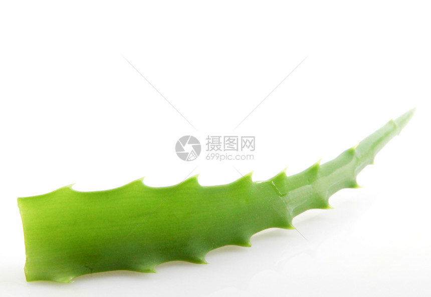 白色背景的AloeVera图片