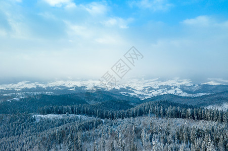 霜冻的雪森林和道路图片