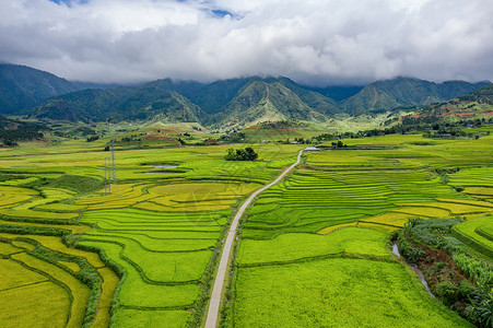 番西邦夏季Fansipan山区谷的空中景象有稻田梯农村地区的绿色田旅行和假期概念越南萨帕自然景观背景