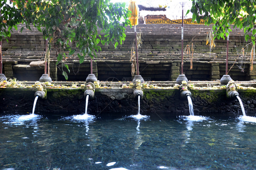 在PuraTirtaEmpul寺圣泉水祈祷图片