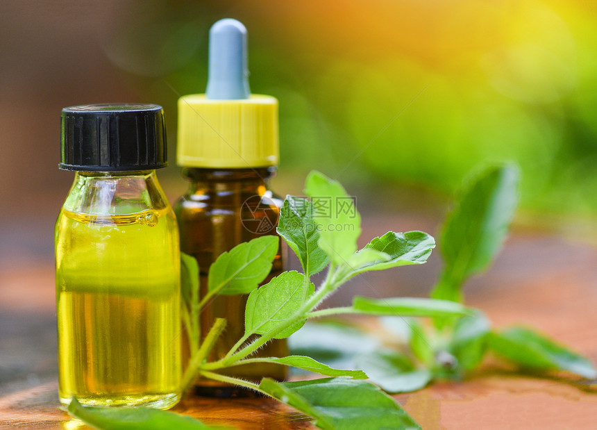 含有树叶草药配方的香用油瓶芳香剂包括和草药圣巴西尔基本油天然和绿色背景图片