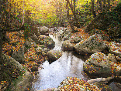 秋天风景自然的构成河流进入峡谷图片