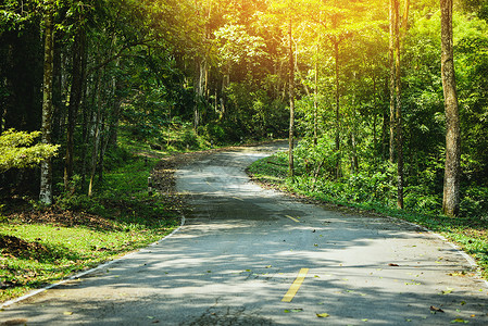 路边乡村公曲线自然地有树木的通往森林宁静道路乡村公曲线背景图片