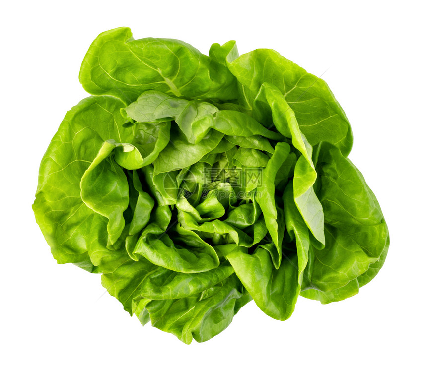 蔬菜或沙拉在白色背景中孤立图片