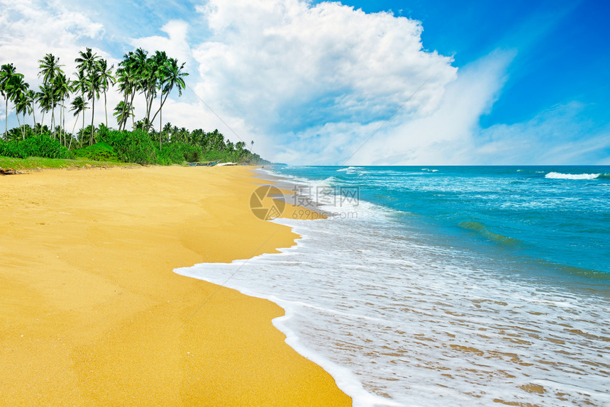 蓝色天空和黄沙的热带海景图片