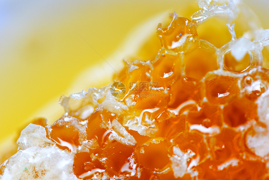 新鲜蜂蜜关闭黄甜窝的大型蜜窝天然健康食品图片