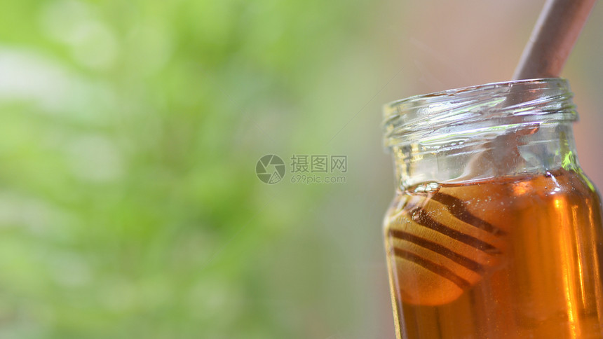 新鲜蜂蜜健康食品在罐中关闭黄蜂蜜罐中配有木制花瓶和天然绿色背景复制空间图片