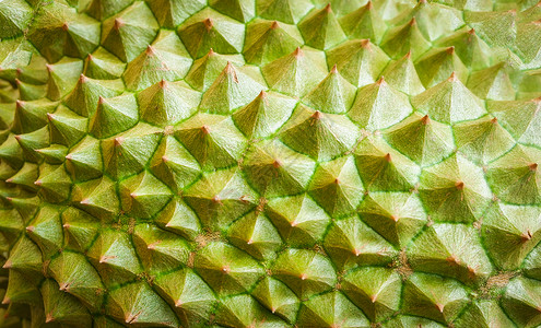 榴莲设计素材Durian皮肤关闭热带水果质地背景背景