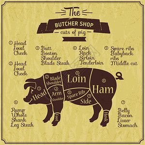 猪肉屠夫商店插图图片