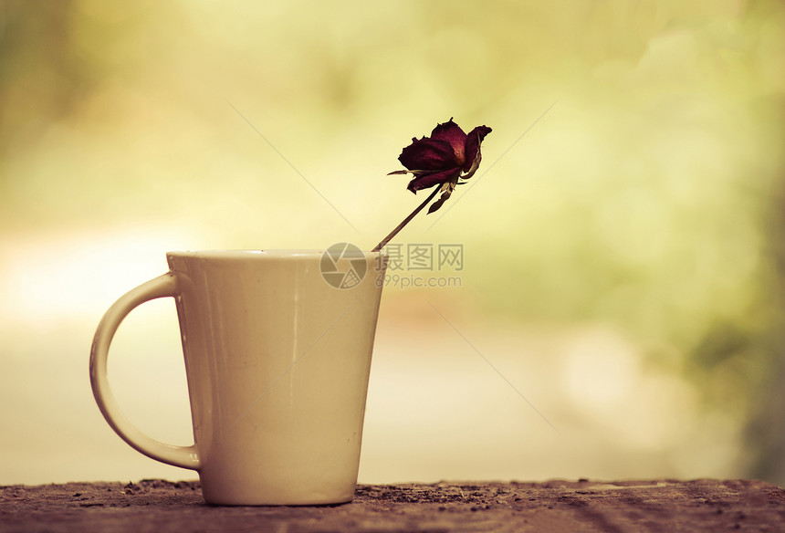 咖啡杯旧颜色的花自然颜色背景图片
