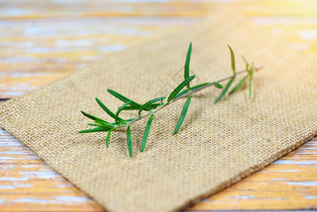桌子背景绿叶迷迭香植物草药和食有选择的重点图片