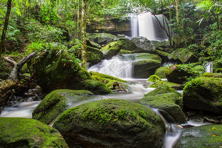 克拉森齐默泰国PhukraduengLoei丛林热带森中的石流水上美丽的瀑布有红绿苔的背景