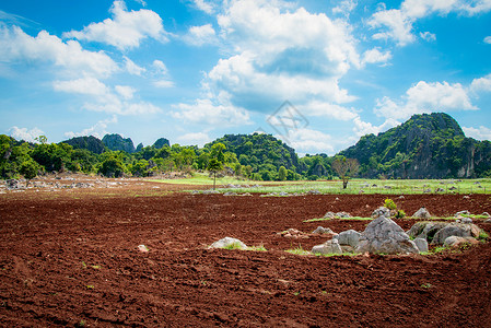 田地景观农村区耕地面积种植农民山岩蓝天空背景开始种植玉米田图片