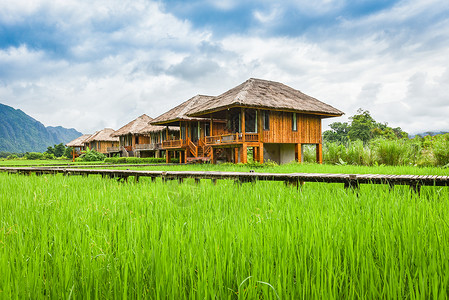 绿稻田地貌景观农村房屋是美丽的山地和天空背景图片