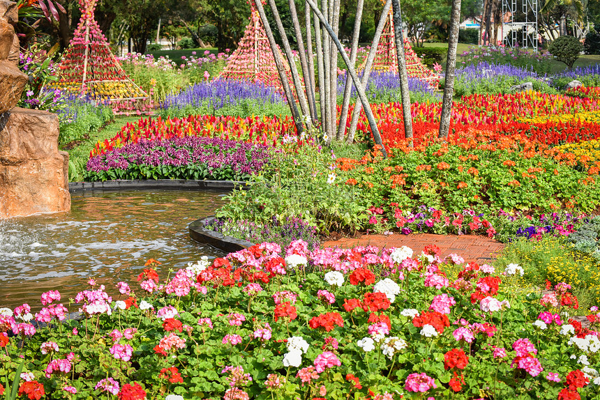 花朵多彩和水池的自然背景图片