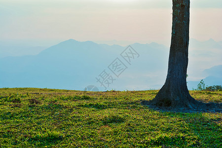 草地山上的树和日出仅山地背景图片