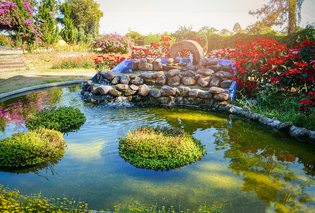 小池塘设计小型瀑布石在夏季绿园中开花背景