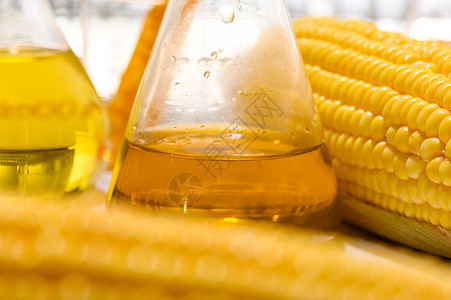 玉米生物燃料产品可持续能源产品图片