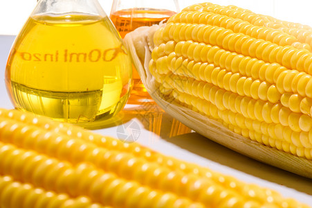 生物燃料或玉米塞鲁普汽油能源环境学家高清图片