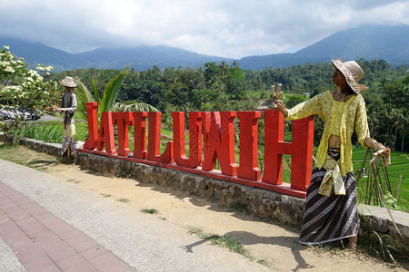 印度尼西亚巴厘岛东南部Jatiluwih稻田的标志图片
