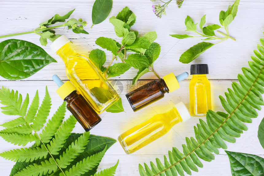 有机木叶和薄有机物草药治疗油瓶香水花叶芳草配方包括野花和木材顶视图的草药图片
