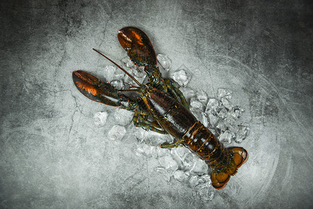 海鲜龙虾贝类在餐厅煮熟食品黑石桌上冰生龙虾图片